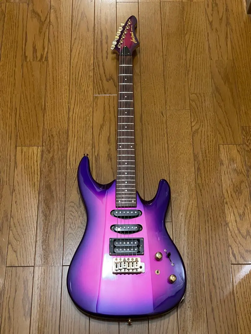 2026年最新】Aria pro ii peの人気アイテム - メルカリ