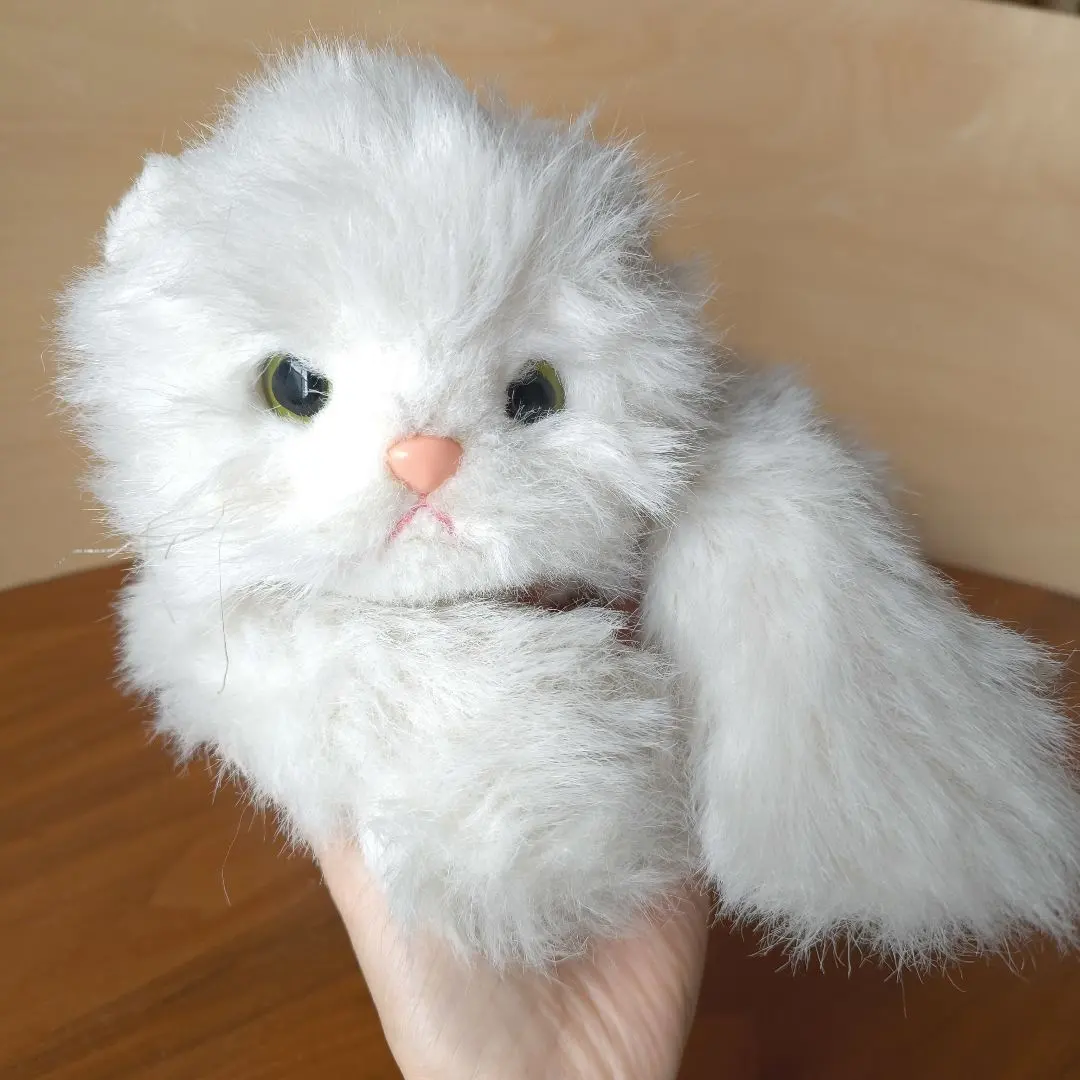 2026年最新】オオイケペルシャネコの人気アイテム - メルカリ