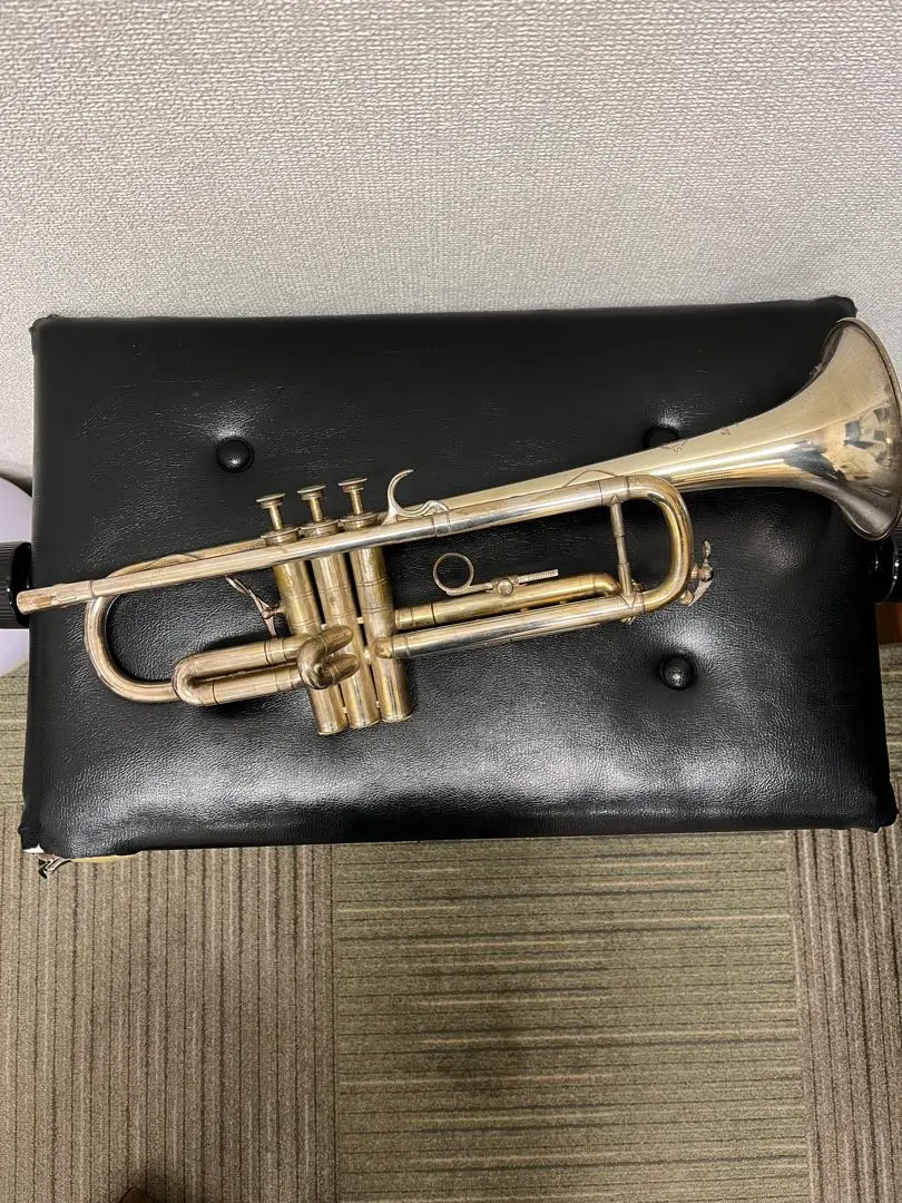 2026年最新】SELMER トランペットの人気アイテム - メルカリ