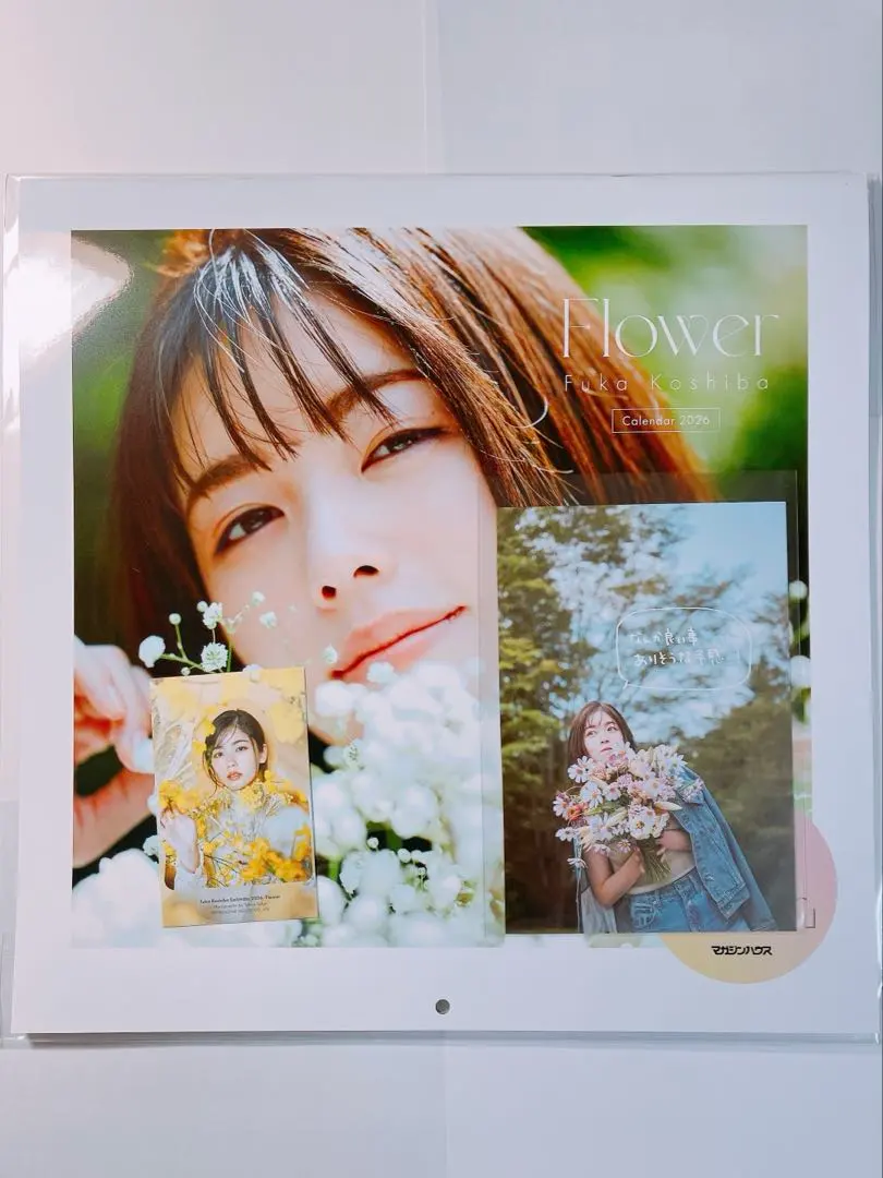 2026年最新】小芝風花 カードの人気アイテム - メルカリ