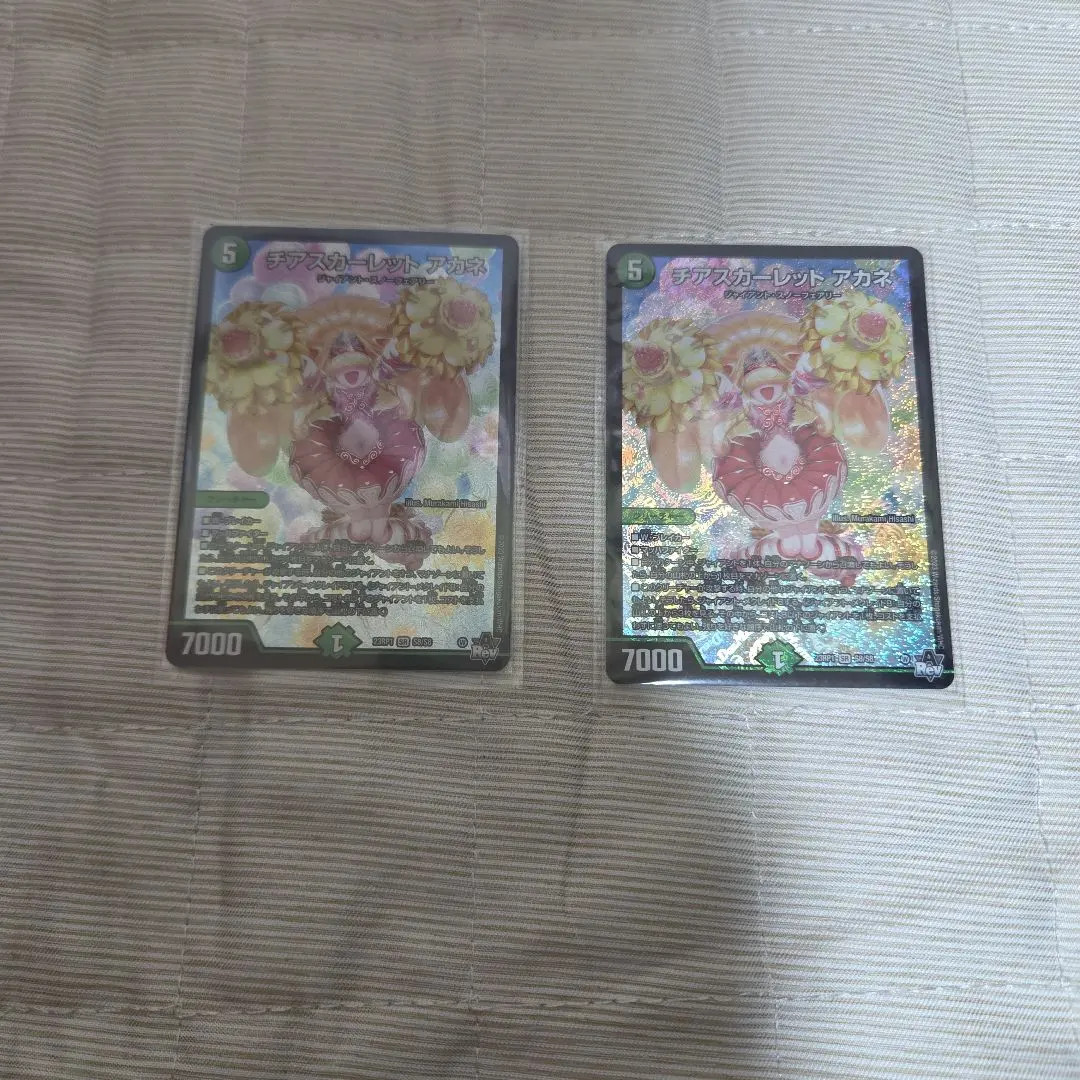 m41771780828_1.jpg?1770022746