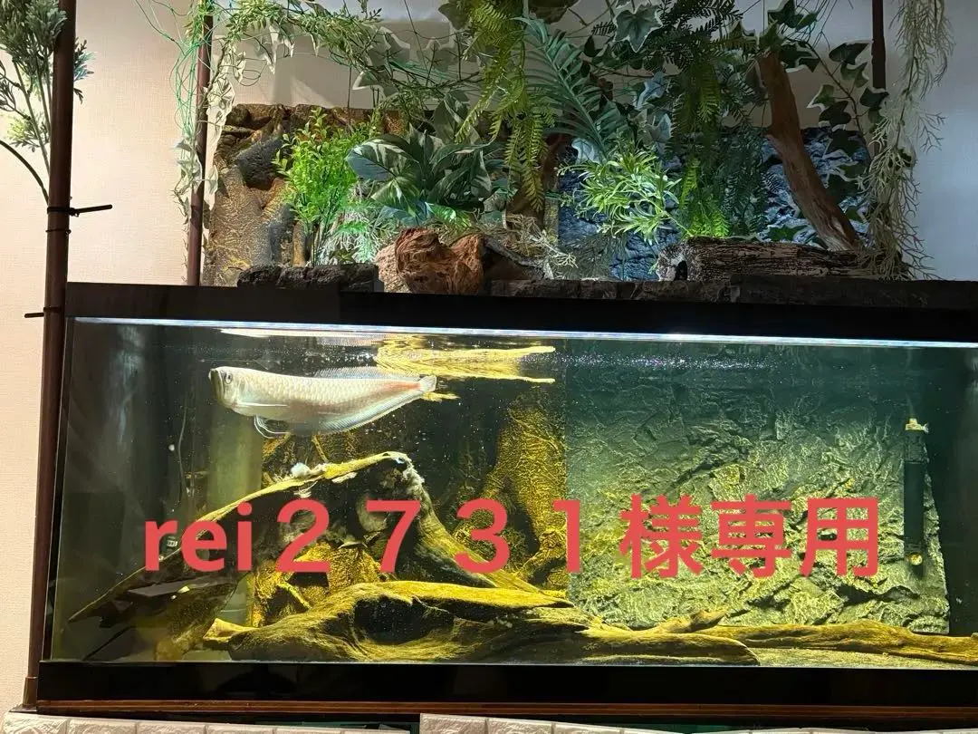 1200cm水槽＋台 レグラス 発送不可！