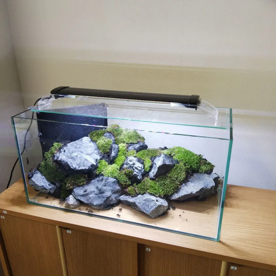 2026年最新】アクアテラリウム完成品の人気アイテム - メルカリ