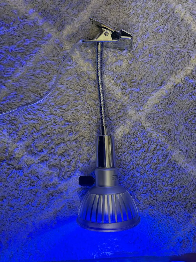 2026年最新】グラッシーレディオの人気アイテム - メルカリ