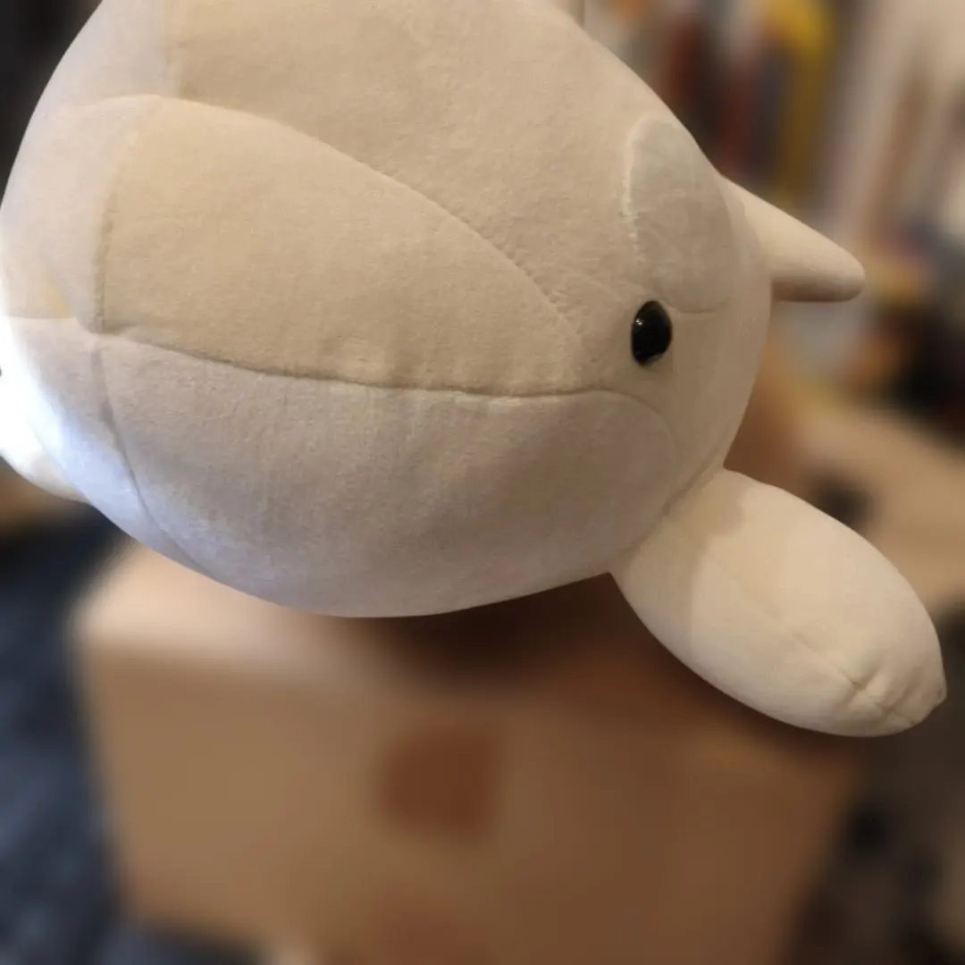 2026年最新】名古屋港水族館 シャチくじの人気アイテム - メルカリ