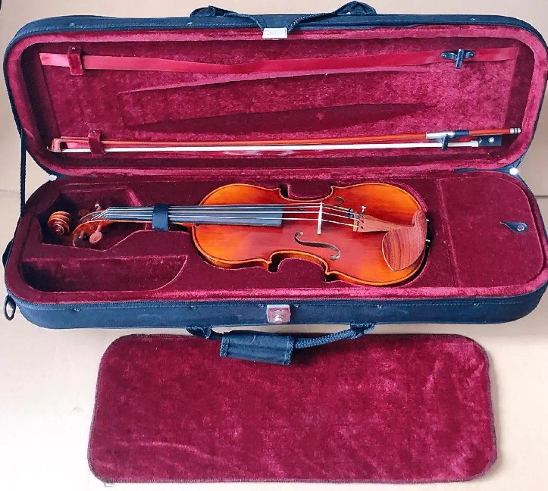 2026年最新】valente バイオリンの人気アイテム - メルカリ