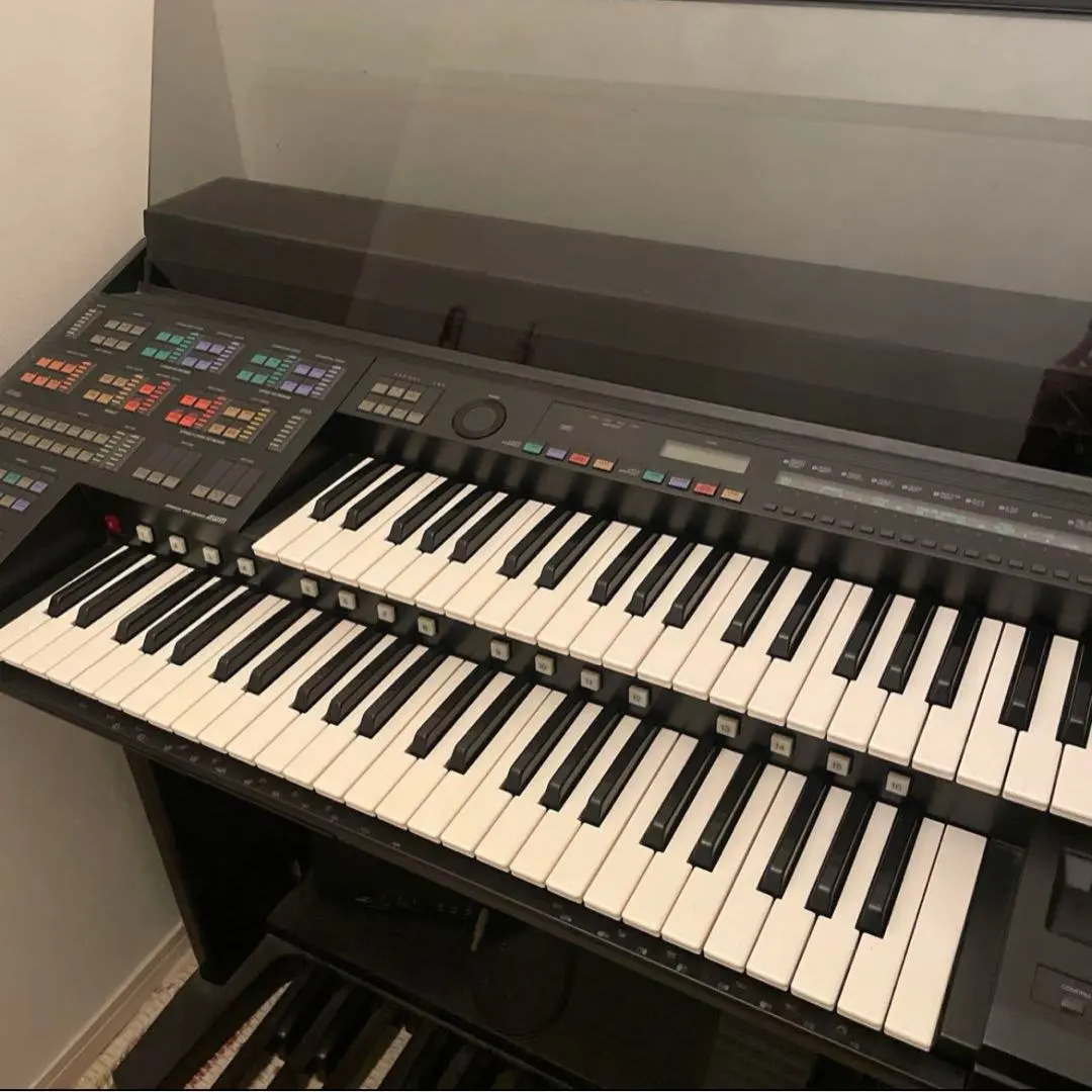 m51136611396_1.jpg?1747286855