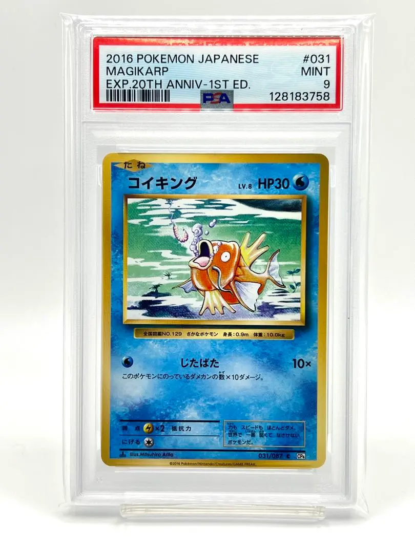 2026年最新】コイキング 旧裏 psaの人気アイテム - メルカリ