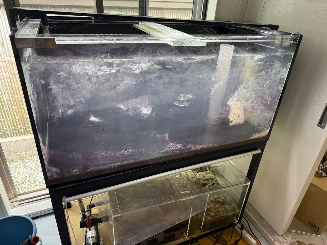 2026年最新】カンテツ水槽の人気アイテム - メルカリ