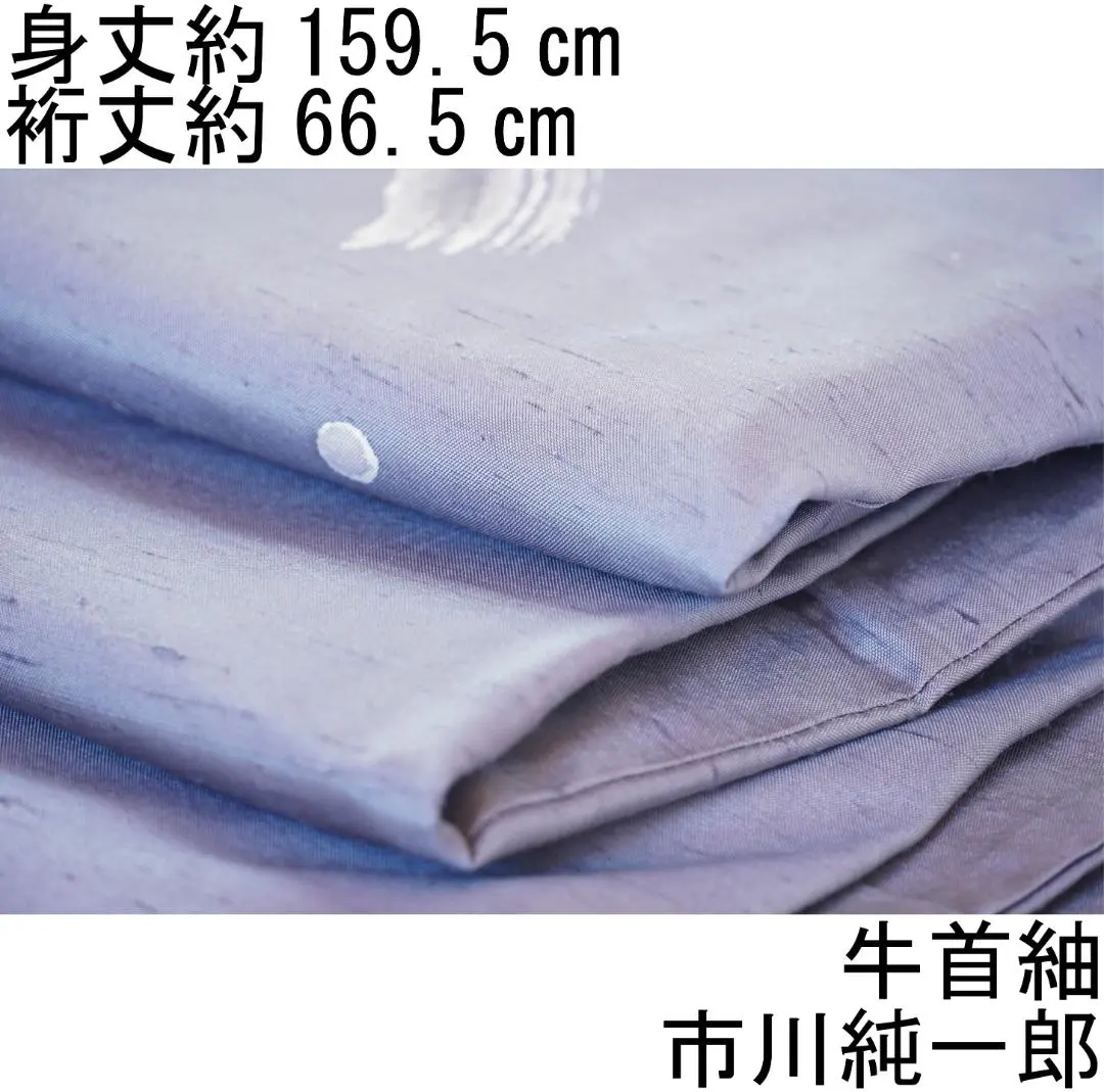 2026年最新】市川純一郎 着物の人気アイテム - メルカリ