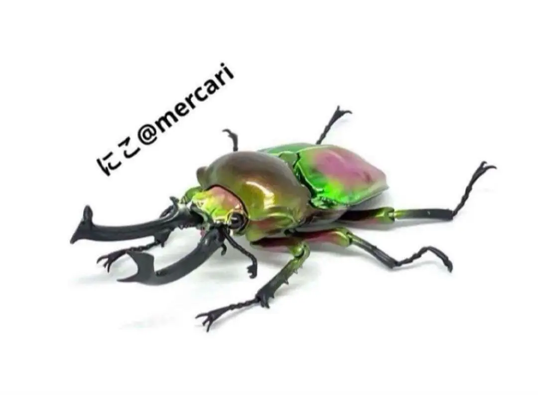 2026年最新】プラチナコガネ 標本の人気アイテム - メルカリ