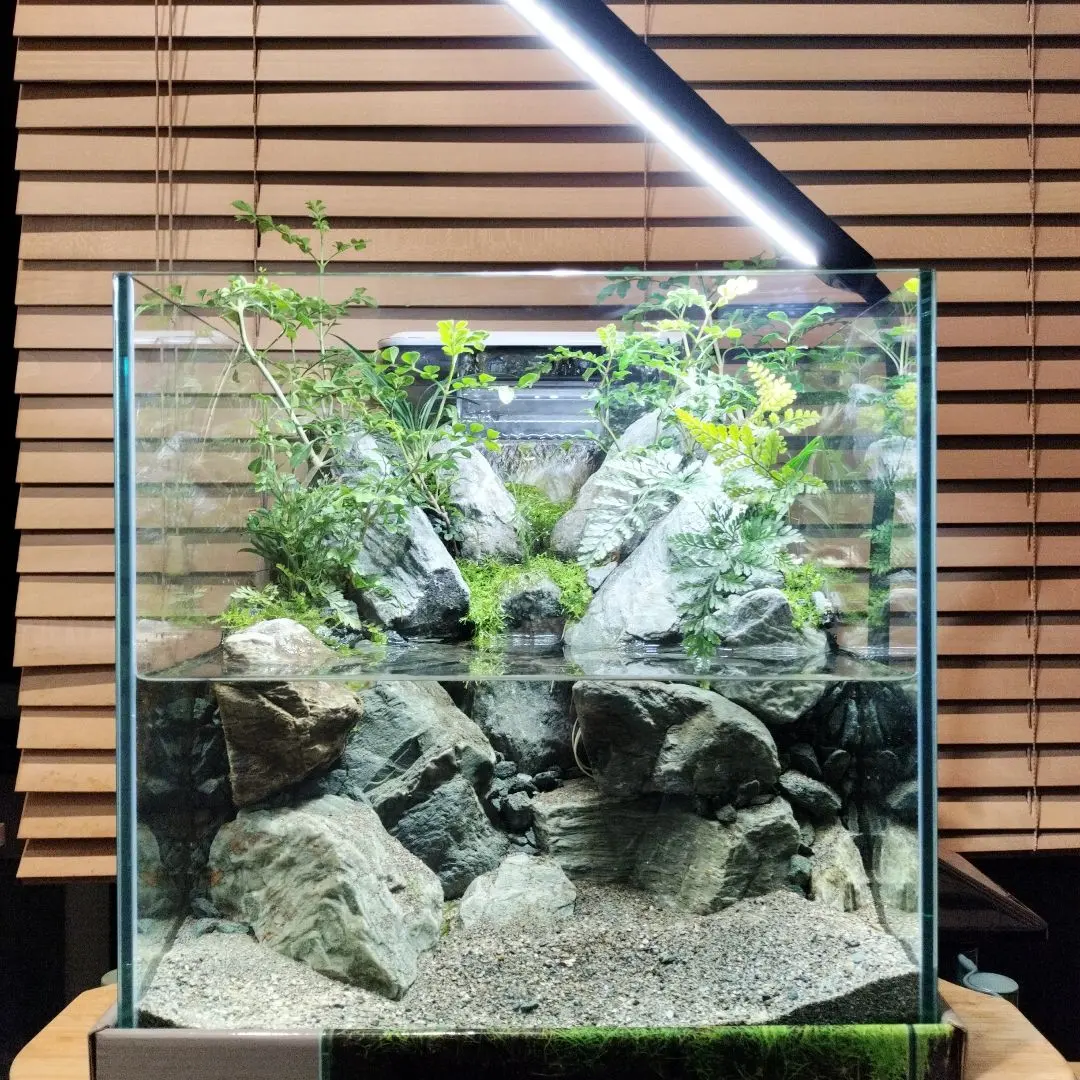 2026年最新】アクアテラリウム完成品の人気アイテム - メルカリ
