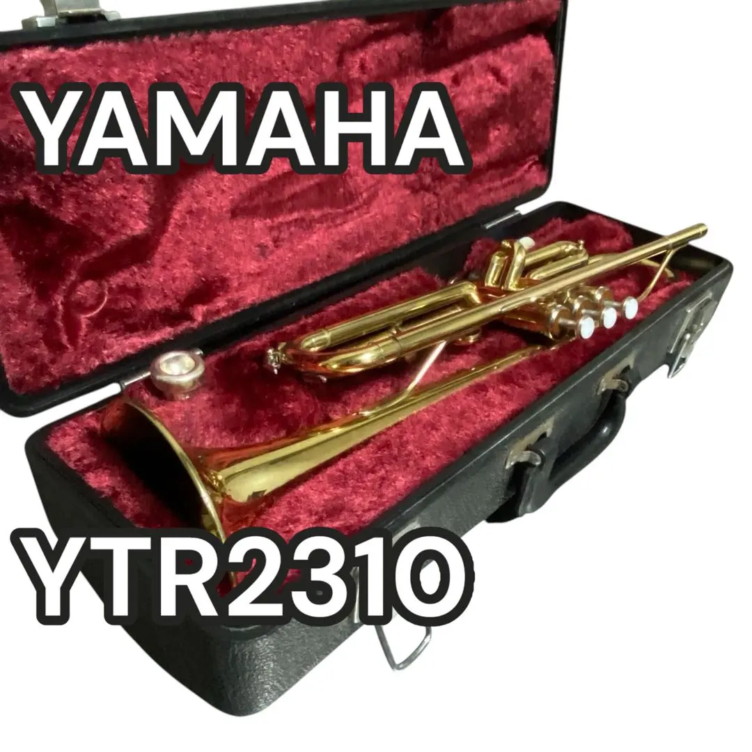 2026年最新】ytr 2310の人気アイテム - メルカリ