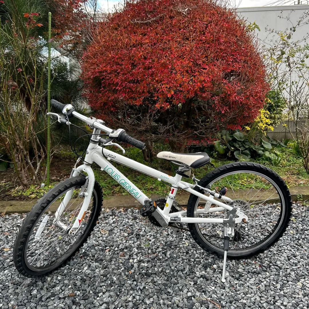 2026年最新】ルイガノ 22インチの人気アイテム - メルカリ