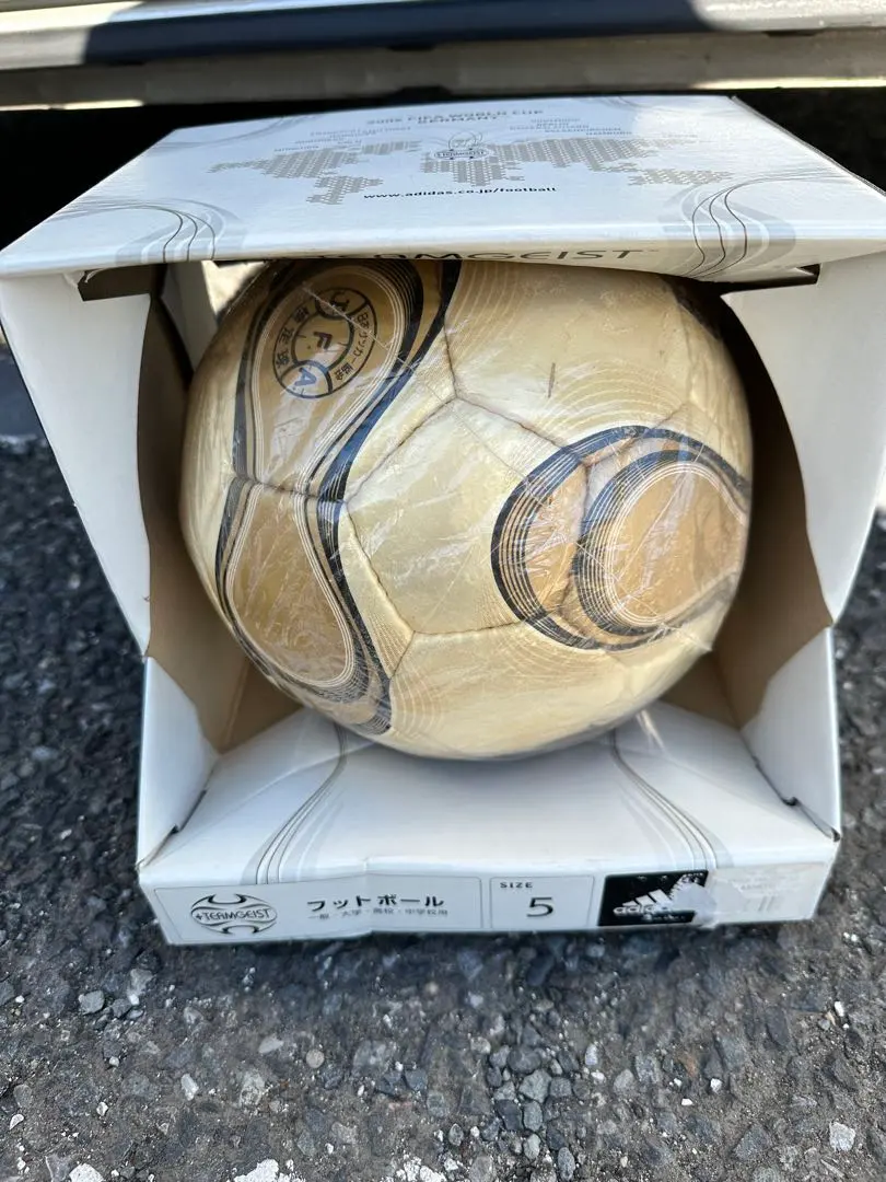 m56123916570_1.jpg?1740666511