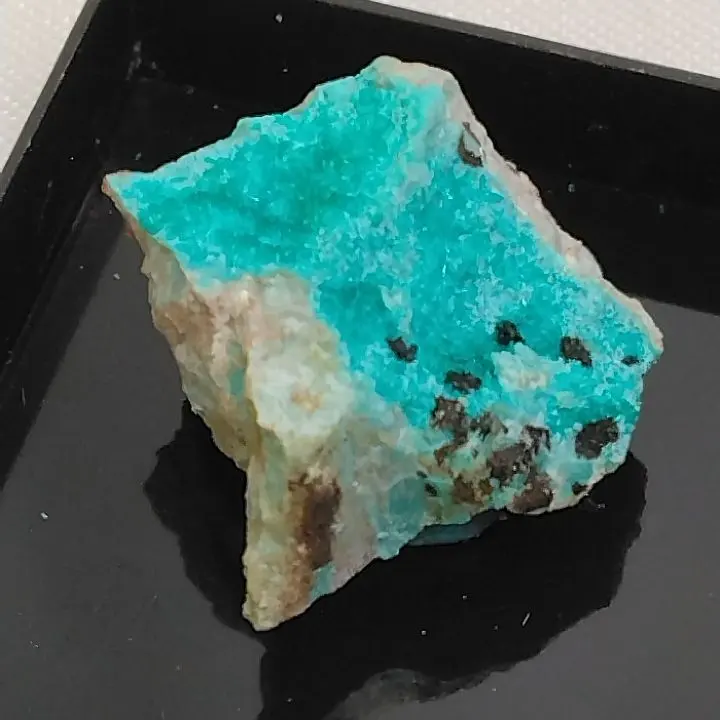 2026年最新】ダイオプテーズの人気アイテム - メルカリ