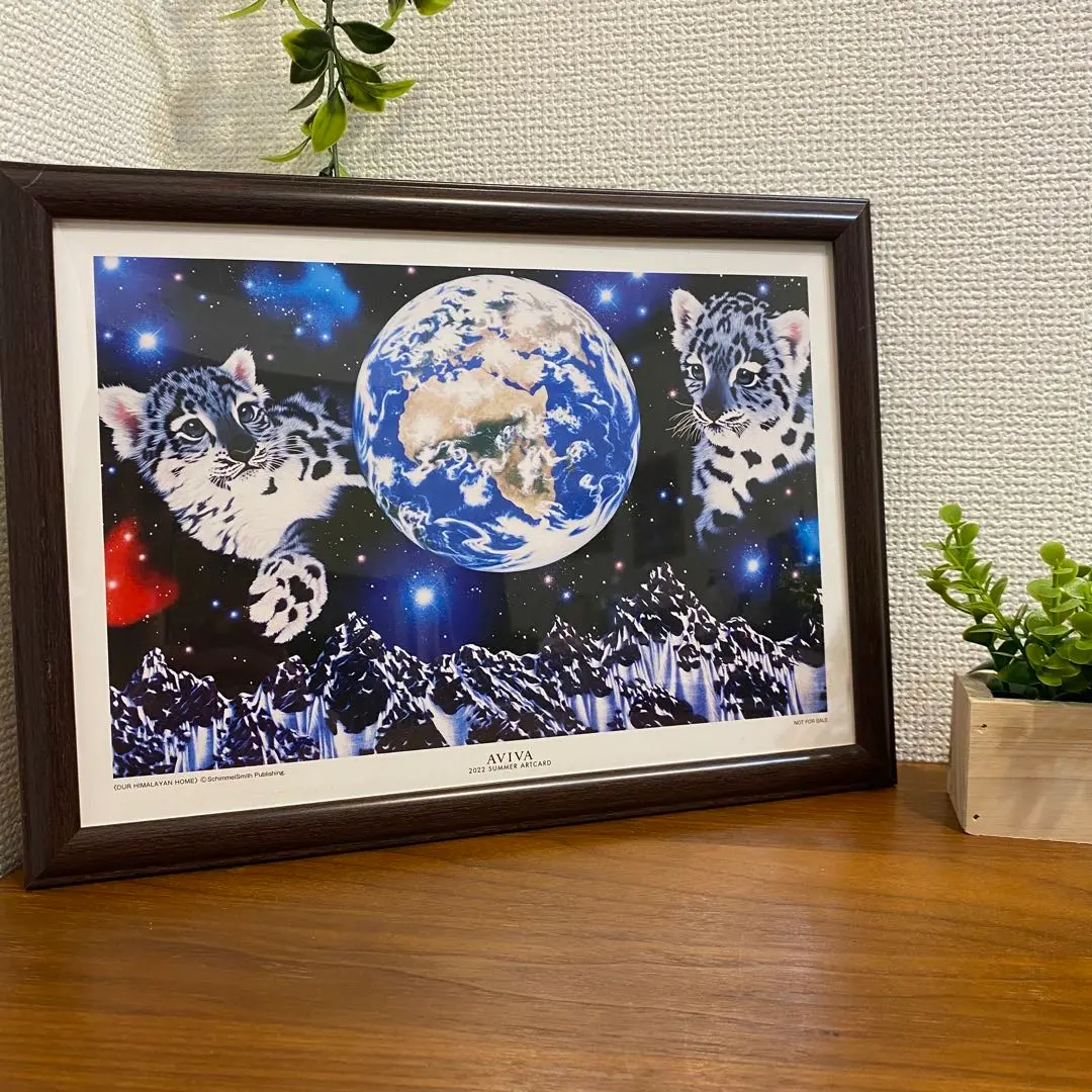 2026年最新】torrents lladoの人気アイテム - メルカリ