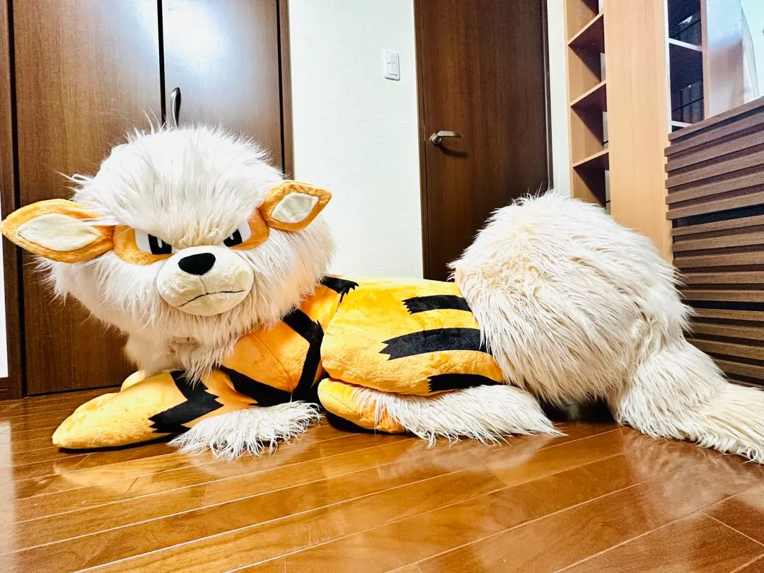 2026年最新】ウインディ添い寝の人気アイテム - メルカリ