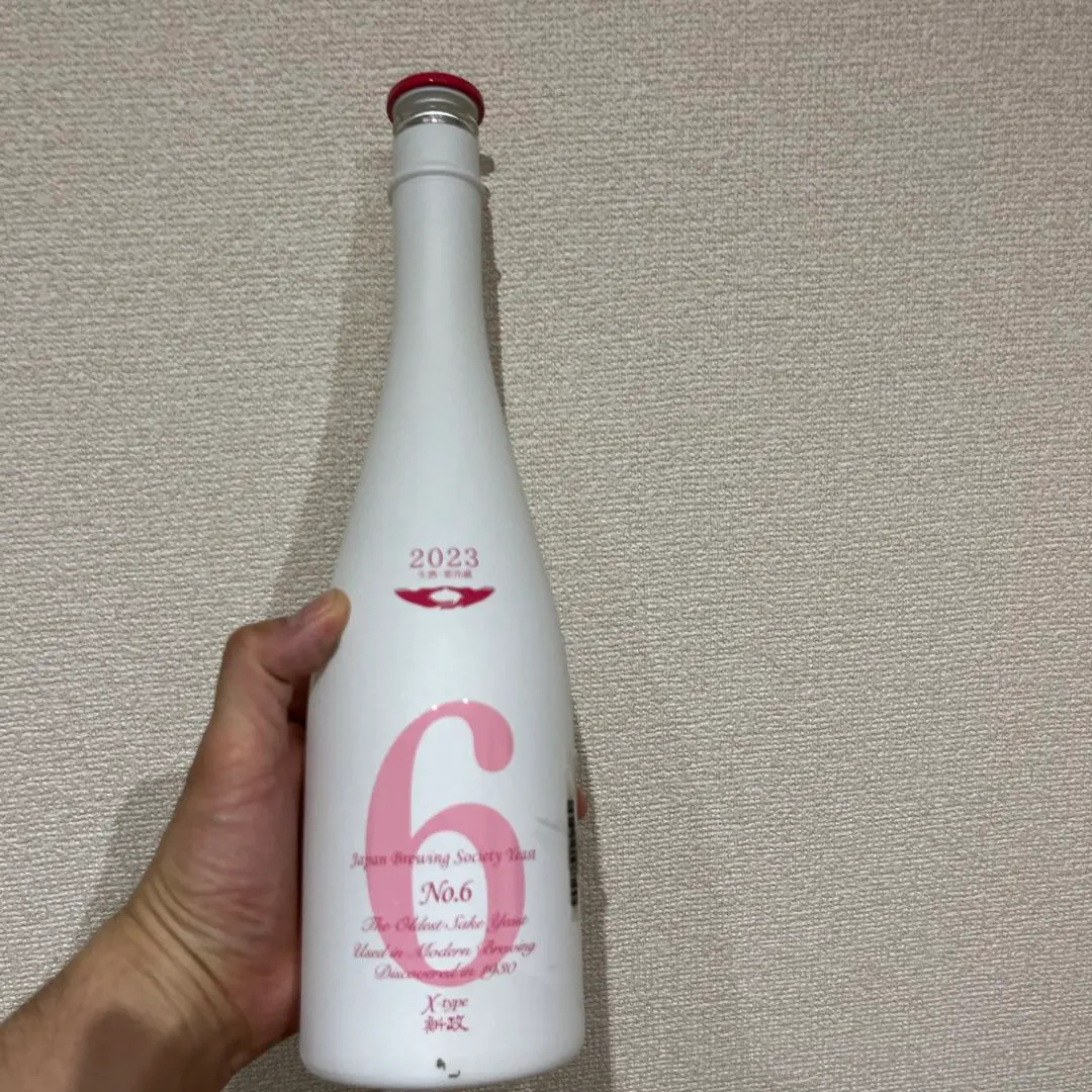 2026年最新】新政 no.6 xタイプの人気アイテム - メルカリ