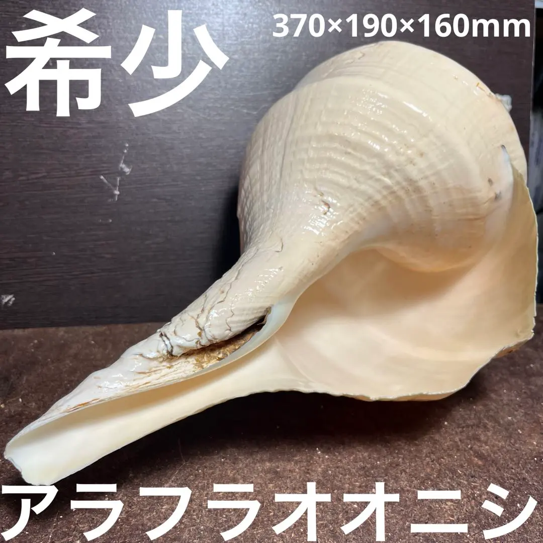 2026年最新】アラフラオオニシの人気アイテム - メルカリ