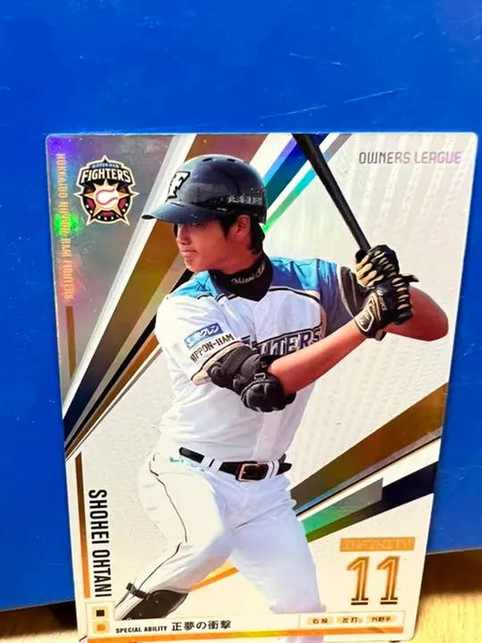 プロ野球 オーナーズリーグ 大谷翔平(打者)PSA認定済み 大谷翔平