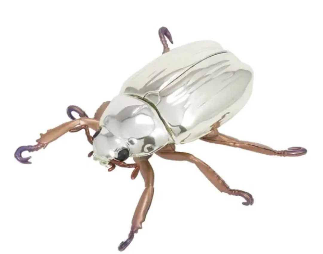 2026年最新】プラチナコガネ 標本の人気アイテム - メルカリ