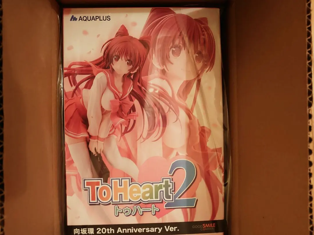 向坂環20th Anniversary ver. 模型附特典‐ Mercari 日本最大二手網購平台