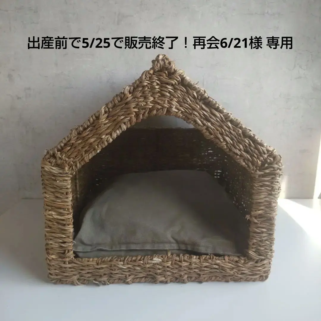 ZARA HOMEの人気ペット用品をまとめました✨ おしゃれなペット用品なら