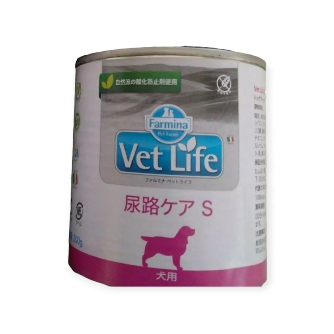2026年最新】ファルミナ 尿路ケアsの人気アイテム - メルカリ