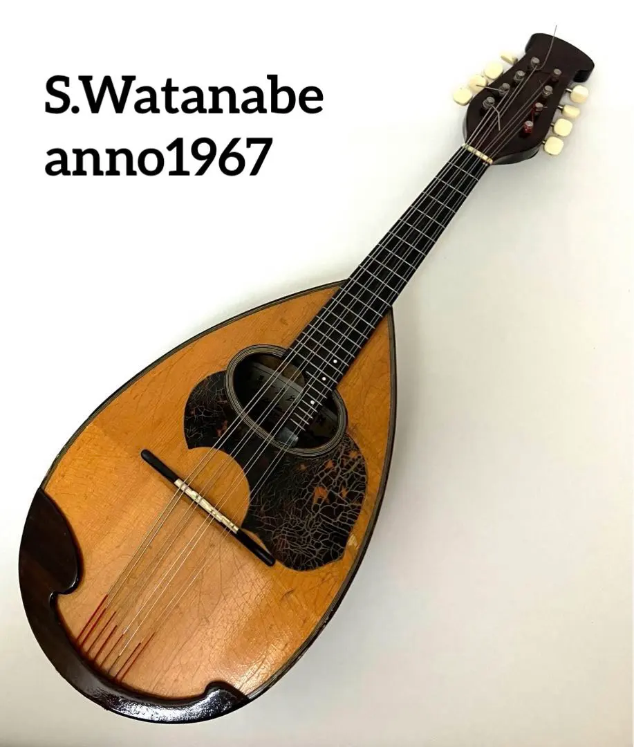 2026年最新】渡辺 マンドリンの人気アイテム - メルカリ