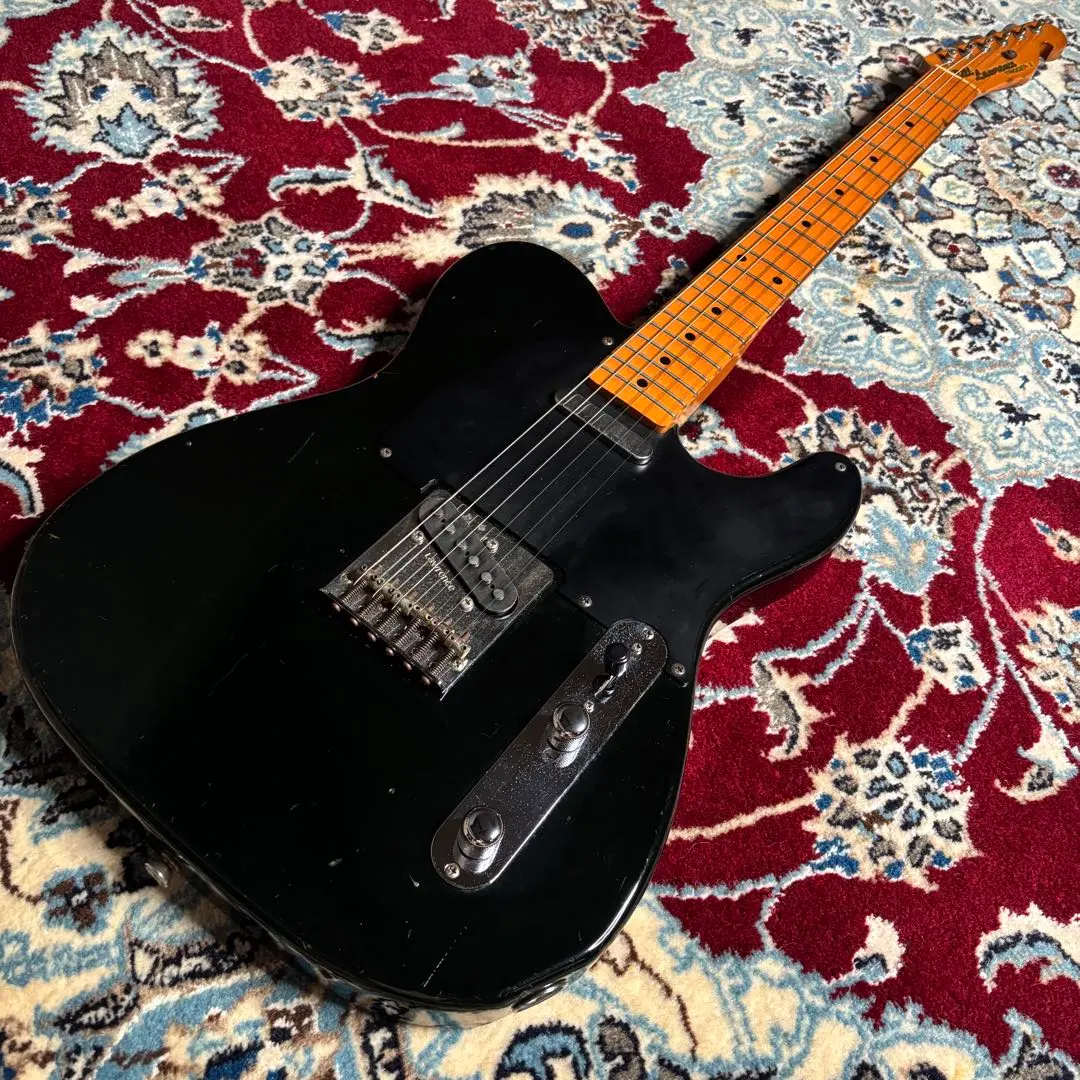 2026年最新】Bill Lawrence テレキャスターの人気アイテム - メルカリ