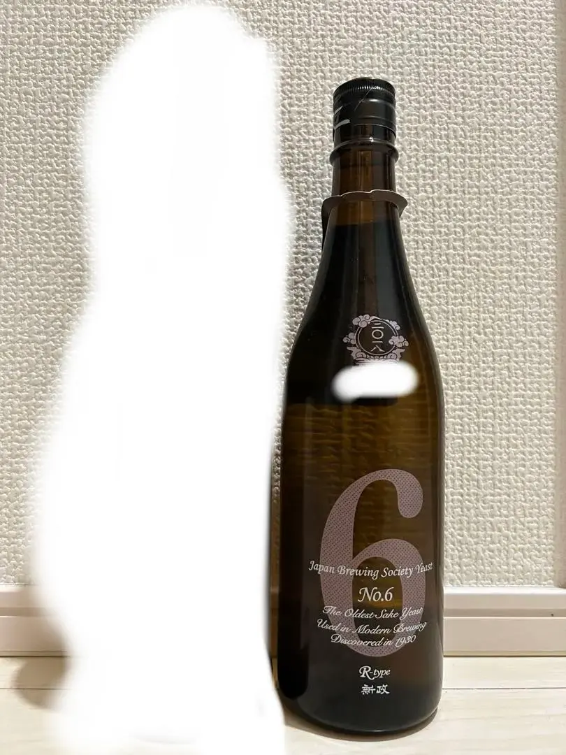 2026年最新】新政 no.6 x-typeの人気アイテム - メルカリ