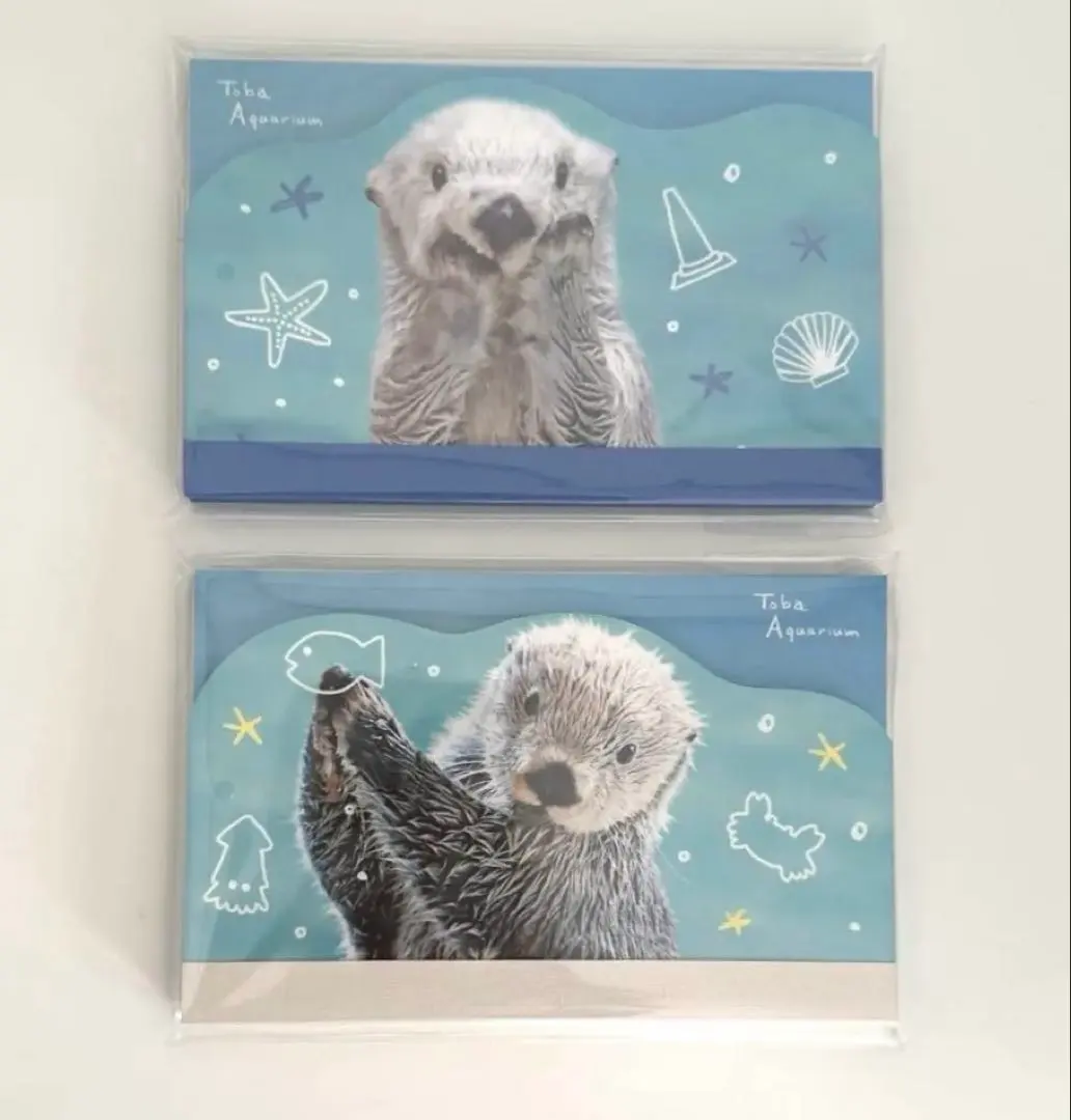 2026年最新】鳥羽水族館 ラッコ クリアファイルの人気アイテム - メルカリ