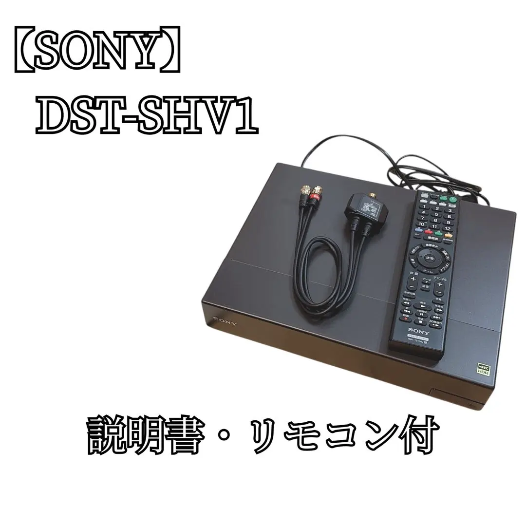 2026年最新】dst-shv1の人気アイテム - メルカリ