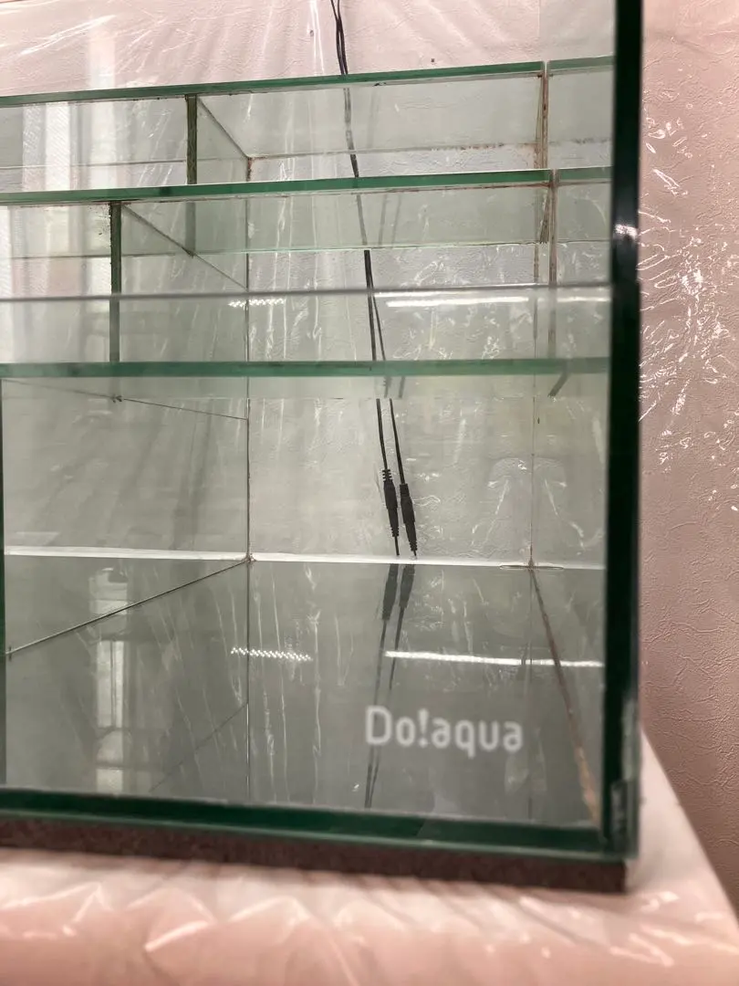 2026年最新】ADA ウォーターフォールの人気アイテム - メルカリ