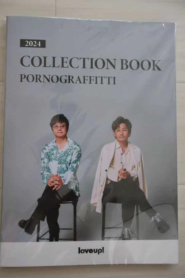 2026年最新】ポルノグラフィティ 会報 ファイルの人気アイテム - メルカリ