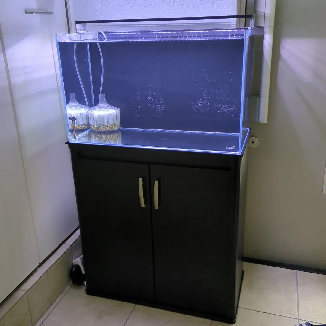 2026年最新】ada キューブキャビネットの人気アイテム - メルカリ