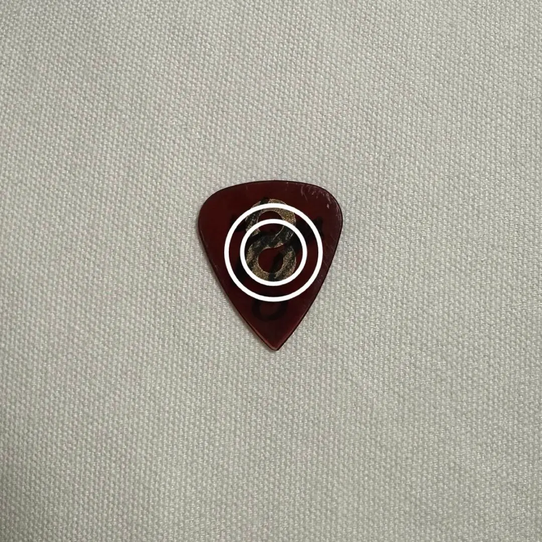 2026年最新】シンガーズハイ ピックの人気アイテム - メルカリ