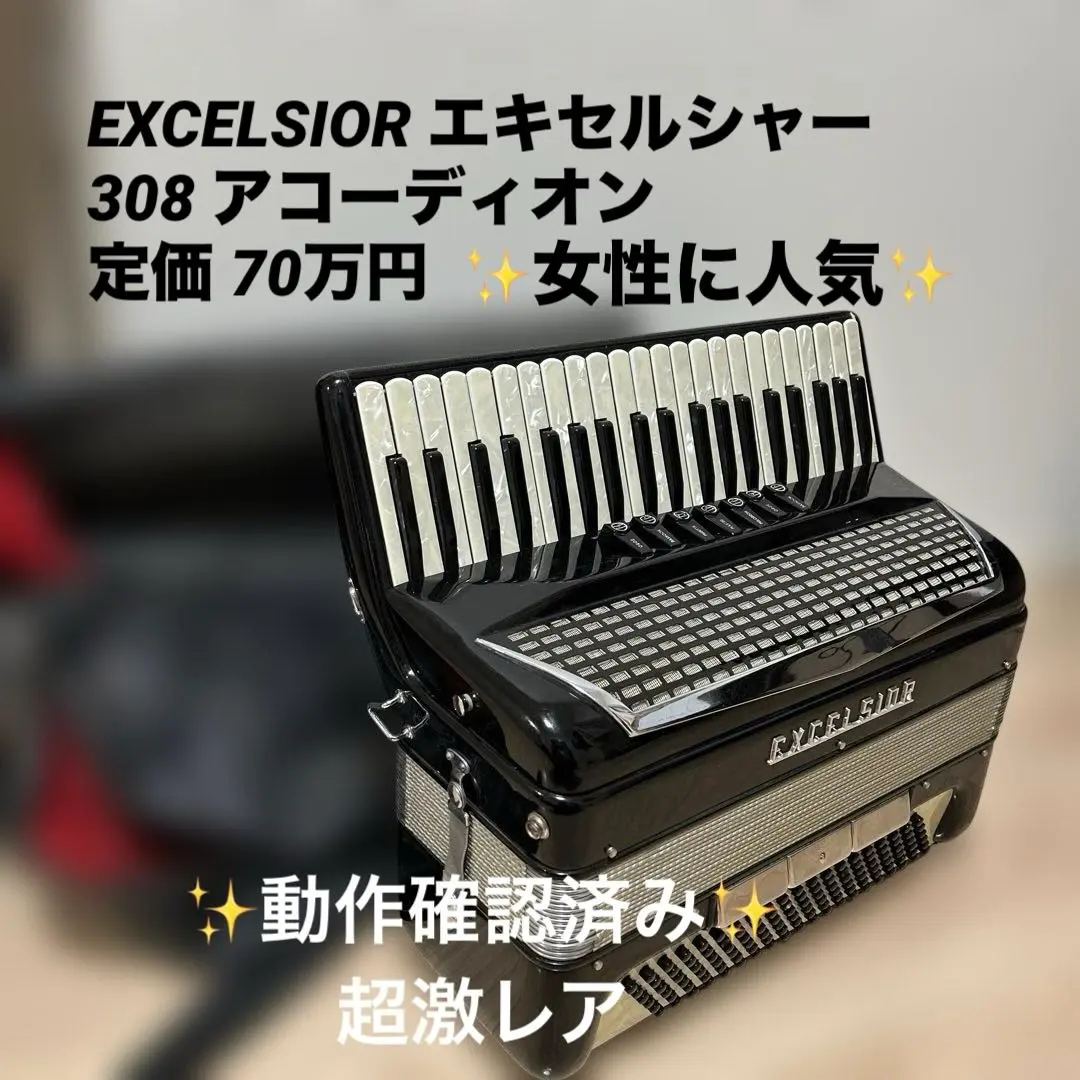 2026年最新】アコーディオン excelsiorの人気アイテム - メルカリ