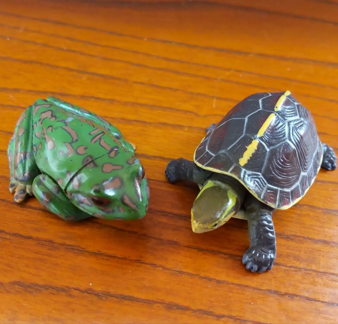 2026年最新】海洋堂 セマルハコガメの人気アイテム - メルカリ