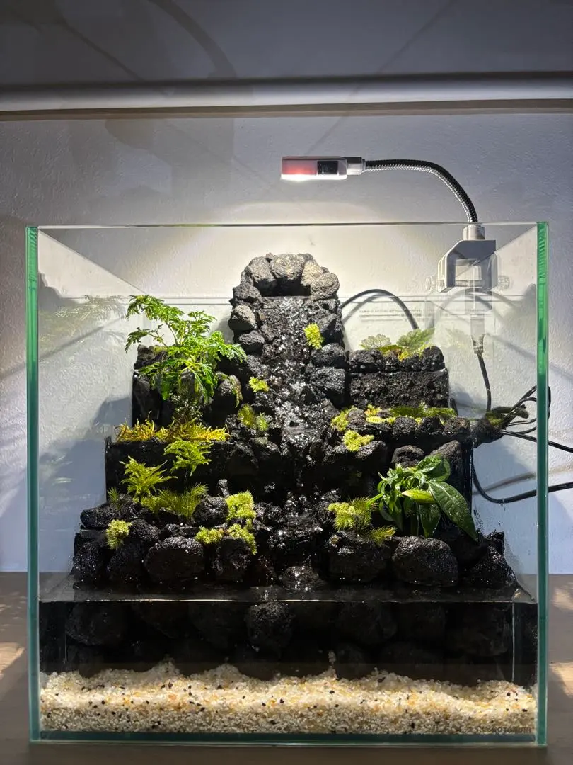 2026年最新】アクアテラリウム 滝の人気アイテム - メルカリ