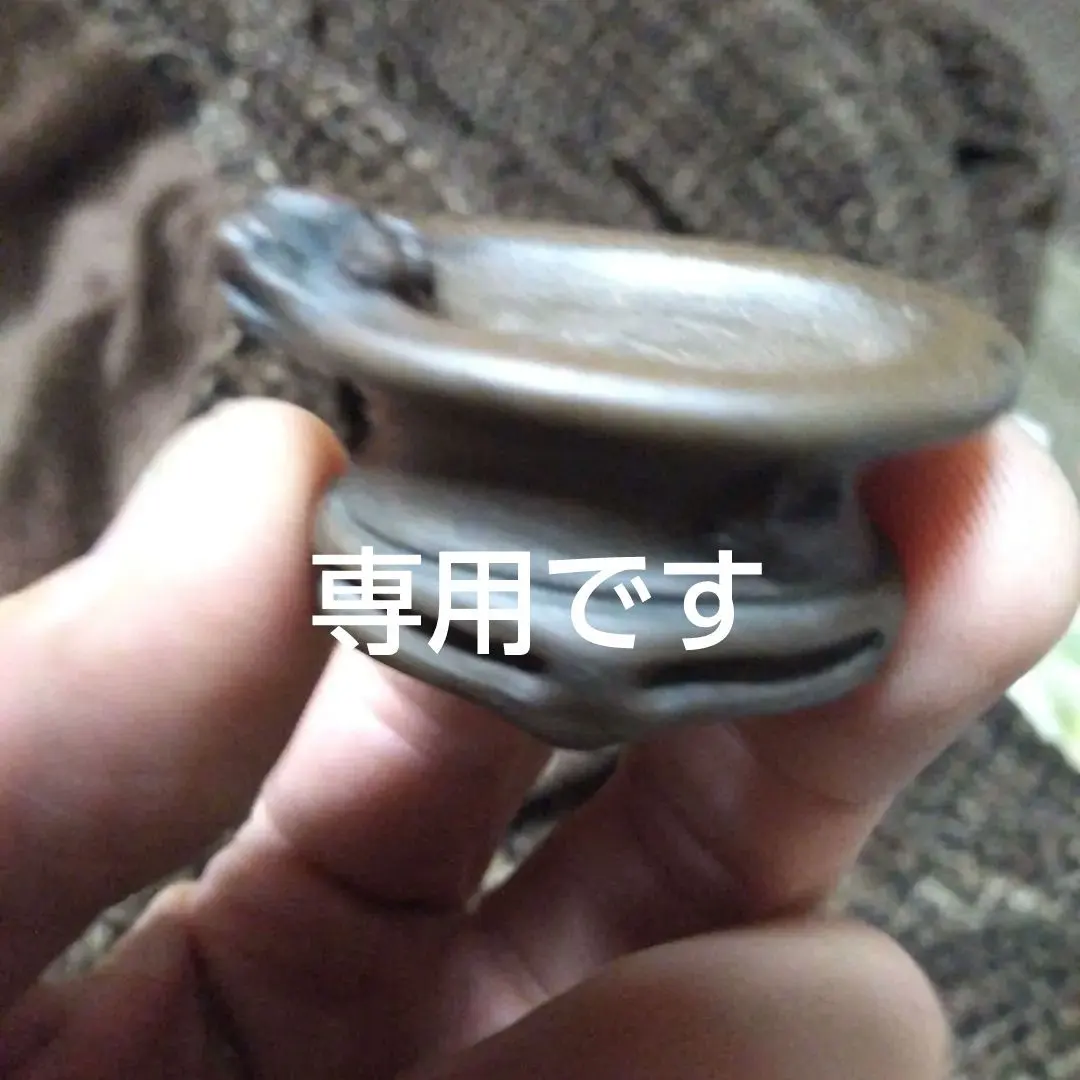 盆栽添配駿河山正京わらべ蛙と遊ぶ近くで見守るお坊様