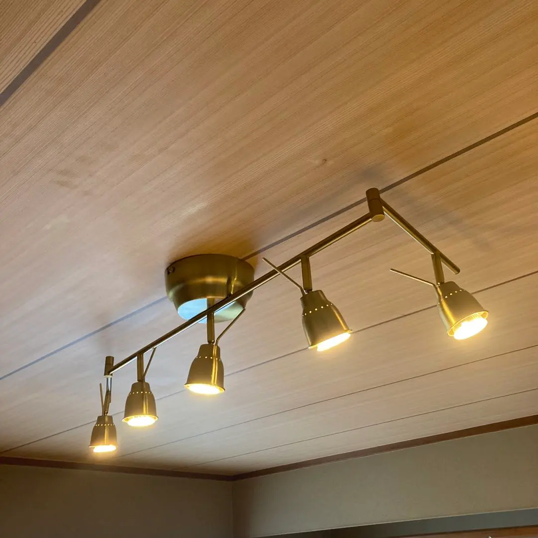 IKEA バロメーテルスポットライト調光可能リモコン付