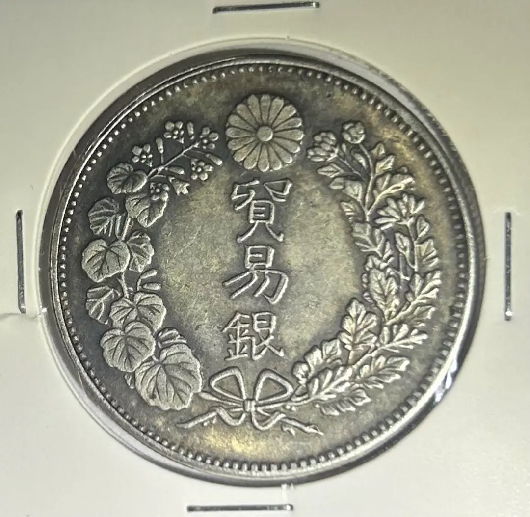 m82112676416_1.jpg?1763822741