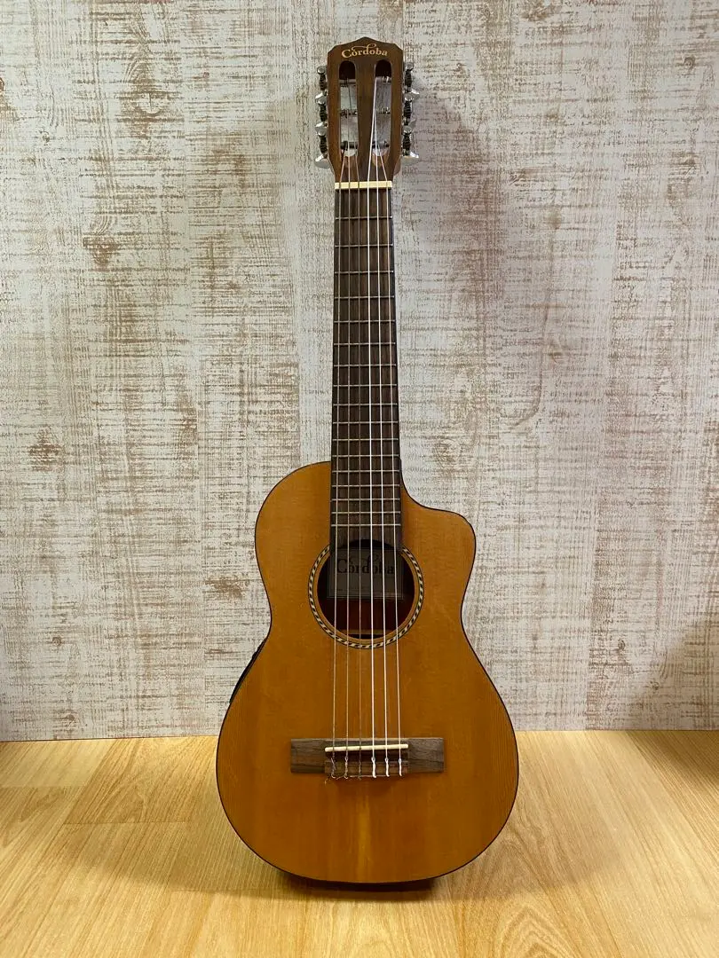 2026年最新】ギタレレ ケースの人気アイテム - メルカリ