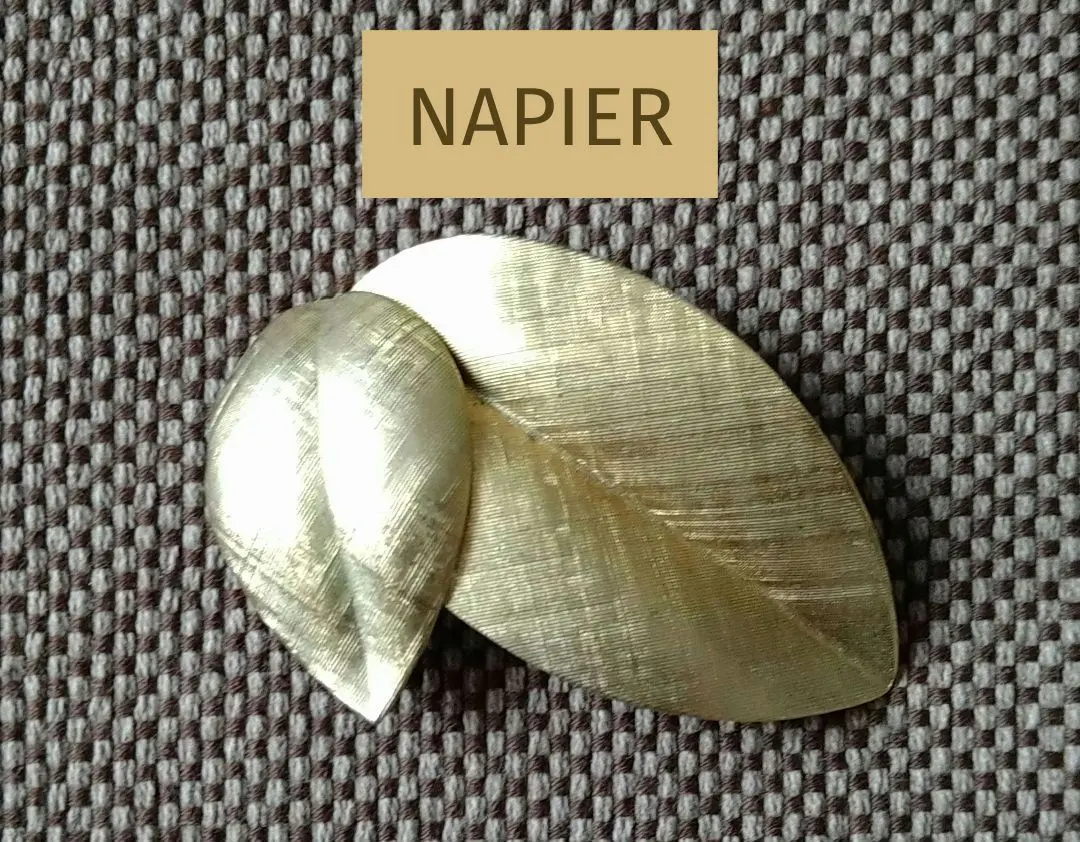 2026年最新】napier ブローチの人気アイテム - メルカリ