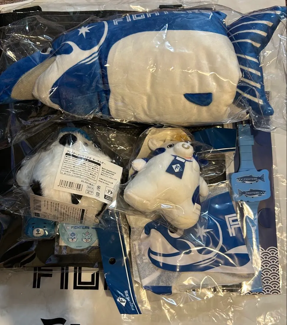 m84365716281_1.jpg?1767097121