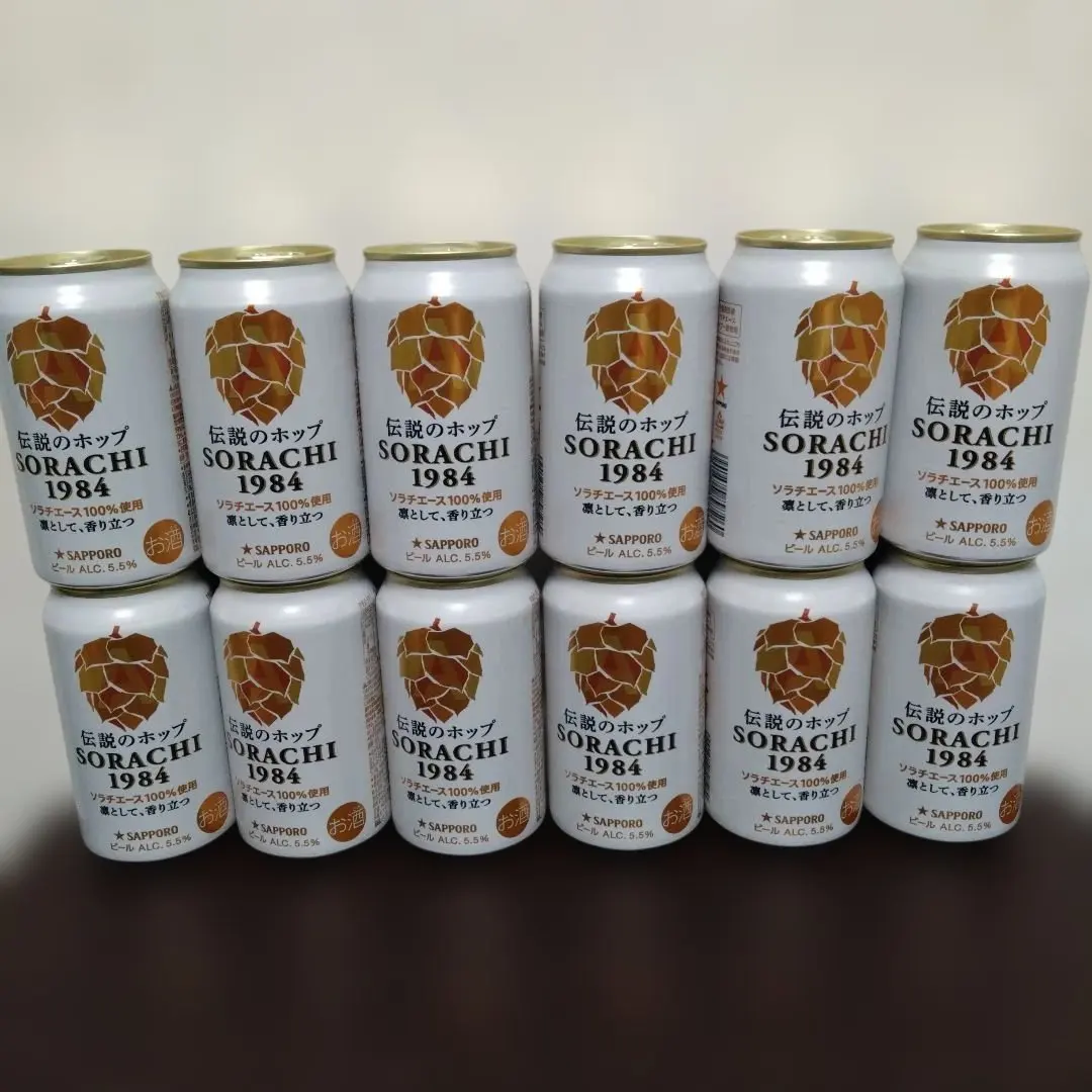 サボ 愛称板】（表）そらち SORACHI（裏） 白 鉄道サボ愛称板】（表