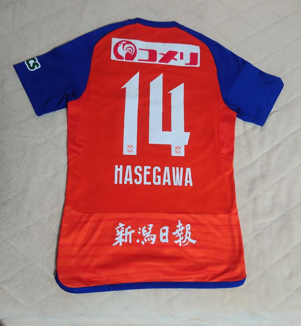 長谷川元希ユニフォーム3XLサイン入りオーセン
