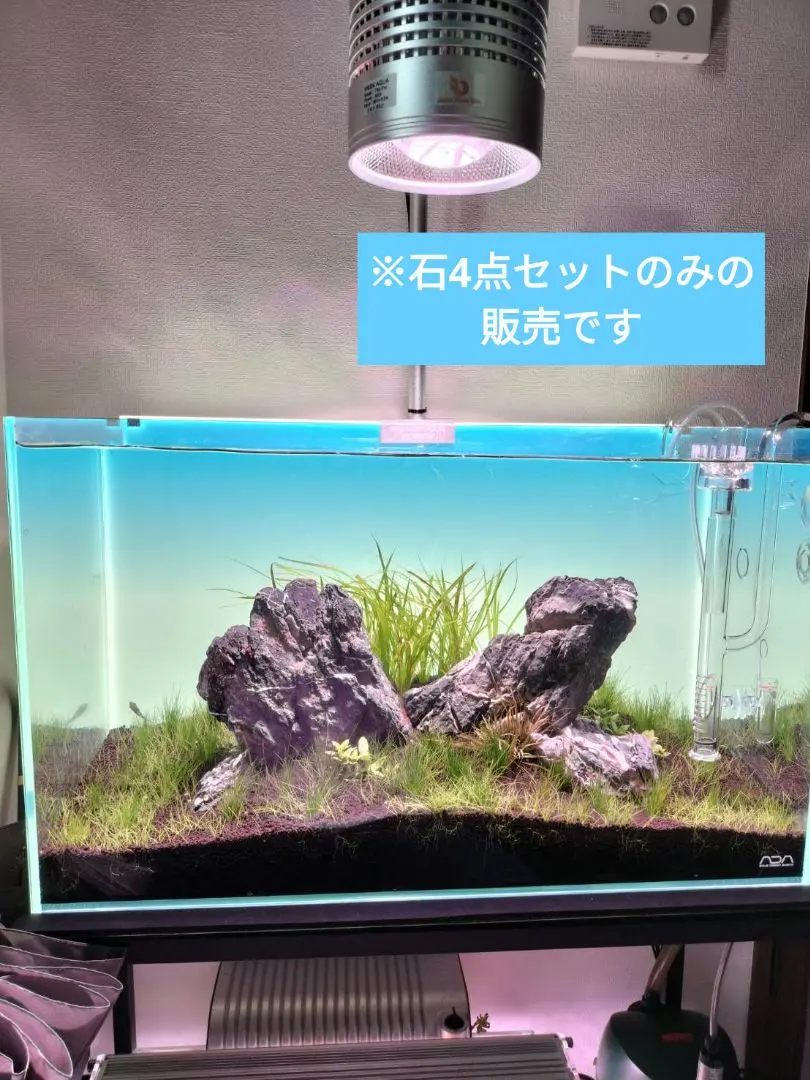 2026年最新】龍王石 親石の人気アイテム - メルカリ